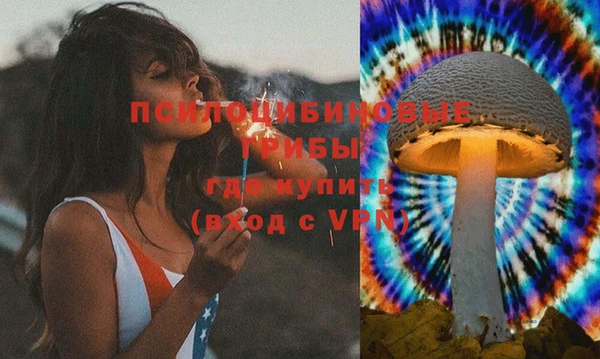 мдма Бородино